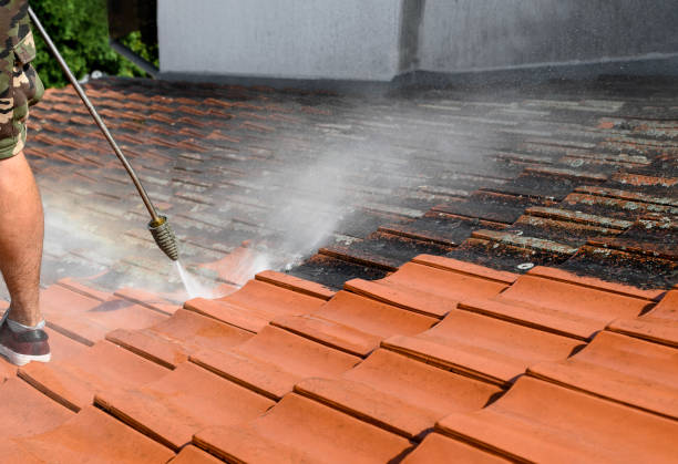 Best Sidewalk Pressure Washing  in Aurora, SD